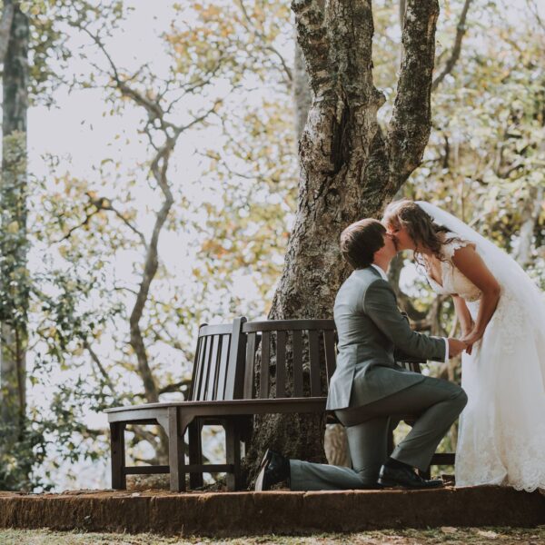 A magical moment in nature – the perfect proposal surrounded by trees