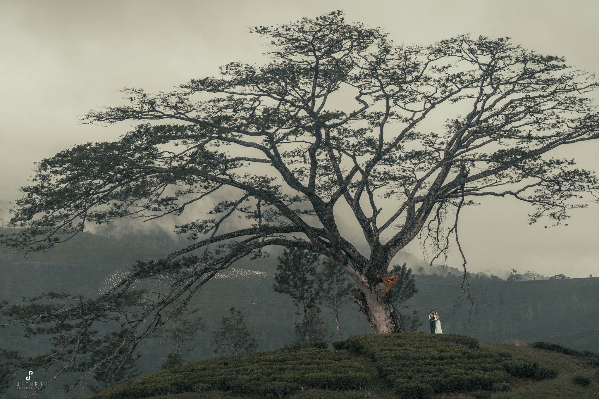 471818227_1124664319029123_5683486017939795796_n