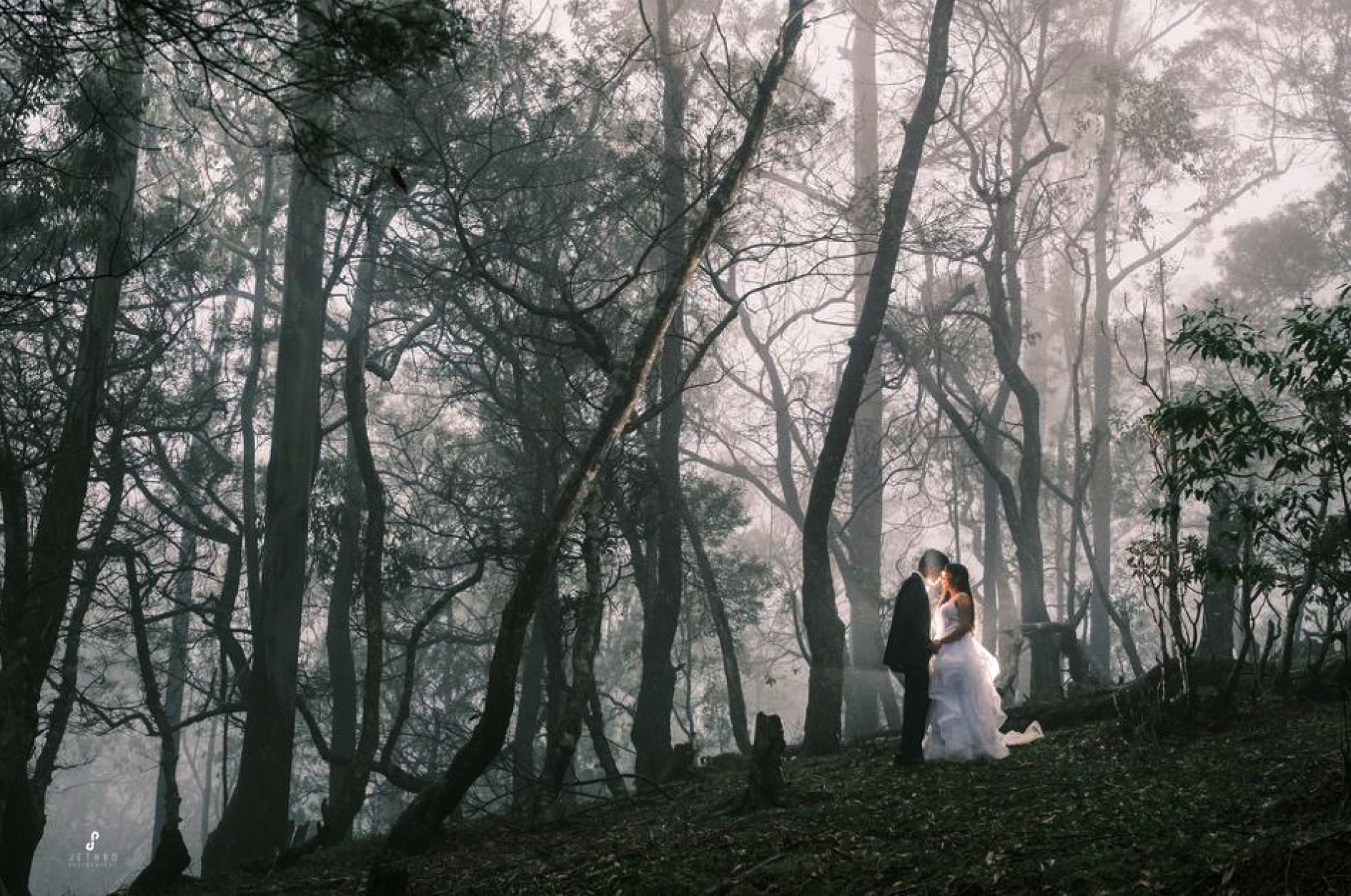 Why Sri Lanka Should Be Your Top Choice for Destination Wedding Photography